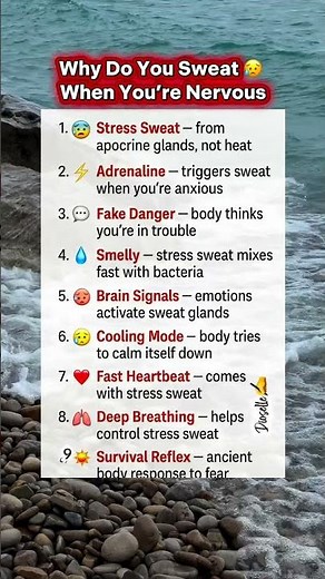 Why You Sweat When You’re Nervous 😰 | Body Reaction Explained #Shorts