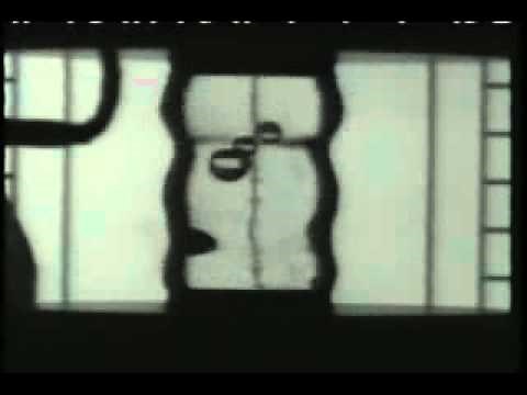 1993: Space Shuttle Flight 55 (STS-55) - Columbia (NASA)