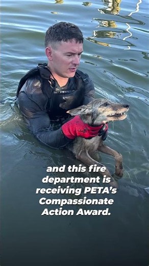 Everyone is someone worth saving, no matter the species ❤️