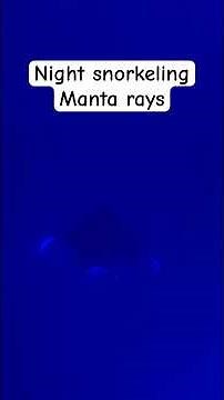 Night snorkeling with manta rays #mantaray #snorkeling #hawaii #tour #vacation