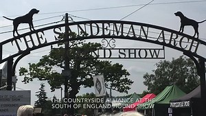 7K views · 90 reactions | In an ordinary year we would be welcoming members, supporters, hunting friends and members of the public onto our stand at the South of England Show over the course of the next few days, however this is no ordinary year. We look forward to returning to the show in 2021, but in the meantime we hope you enjoy some memories from the hound show and hound parades in recent years... | Countryside Alliance | Facebook