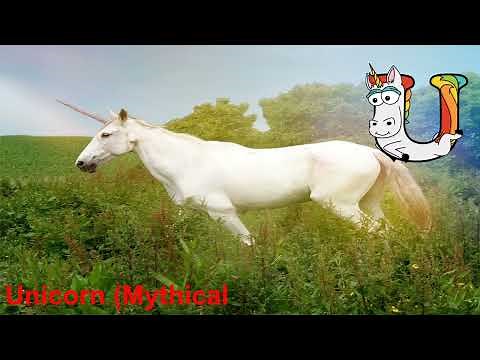 Animals start with U / Alphabet animals / U is for / abecedario en ingles / Alphabetimals / letter u