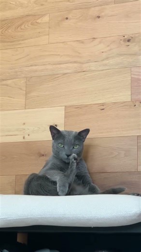 I'm a mysterious boy💚✨