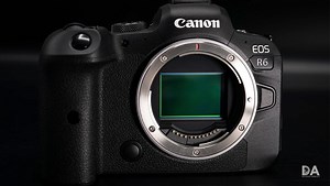 A Review of the Canon EOS R6 Camera