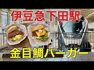 【伊豆急下田駅の旅】終点・下田の街歩きと名物バーガー体験