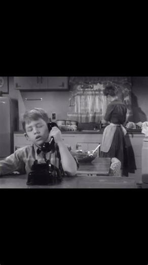 I wonder if Barney wants to go to the Duck Pond tonight? 🎄 #christmas2025 #mayberry | Mayberry, North Carolina