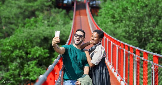 DMZ Half Day Guided Tour from Seoul - Klook