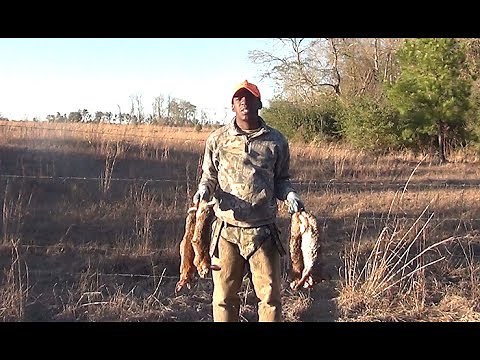 Benson's Kennel - Opp AL Rabbit Hunting With Beagles