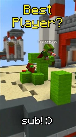 Best Minecraft Player