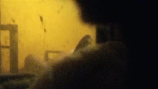 Nani Sexi (@nani.sexi)’s videos with original sound - ታታሪው