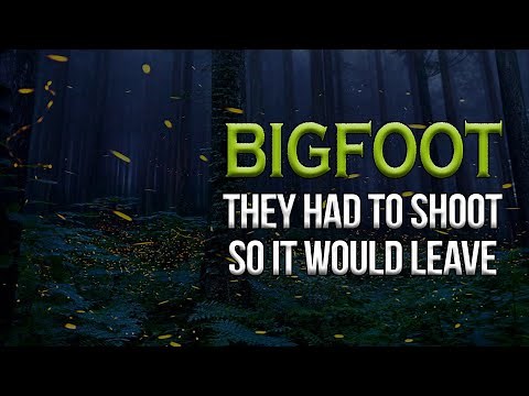 Shooting at Bigfoot