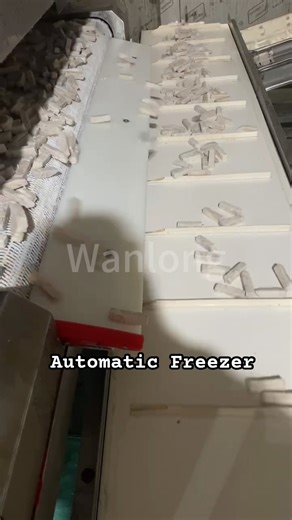 Continuous freezer Freezing system Cryogenic freezer Food freezing machine#freezer #machine #farming