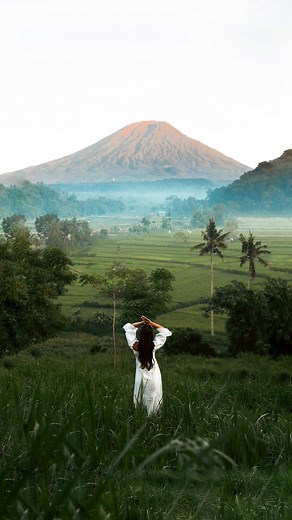 Agnes 🦋 on Instagram: "Am I dreaming? 💭 #indonesia#ocean#palmtree#boat#clearwater#turtle#shark#coralreef#explore#travel#java#rajaampat#australia#philippines#backpacker#diving#snorkeling#vulcano#sandcay#island#islandhopping#backpacking#lombok#sulawesi#maledives#dreaming"