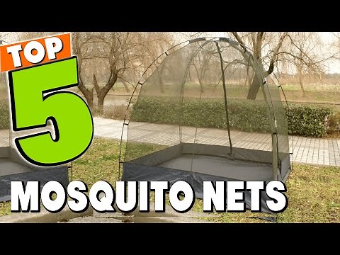 Best Mosquito Net In 2024 - Top 5 Mosquito Nets Review