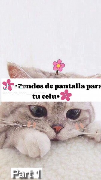 #parati ✨#Espero que te guste 💕😊#edit_de_todo_welcome #fondos de pantalla 😃💖 Regreso 💋♥️