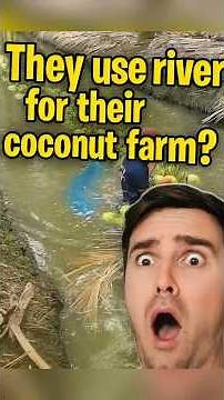 “Why Thailand’s Coconut Farming is 100 Years Ahead"