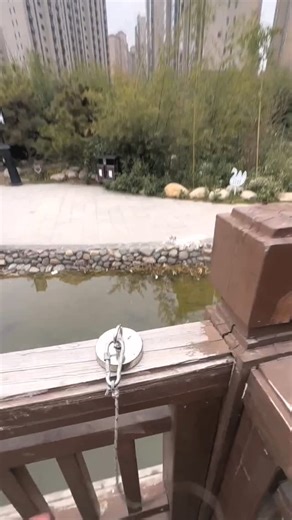 Magic Magnet on Instagram: "Recovering Lost History: Rare Coin Finds#treasure#treasurhunt #magnet #treasurhunting #magnetfishing"