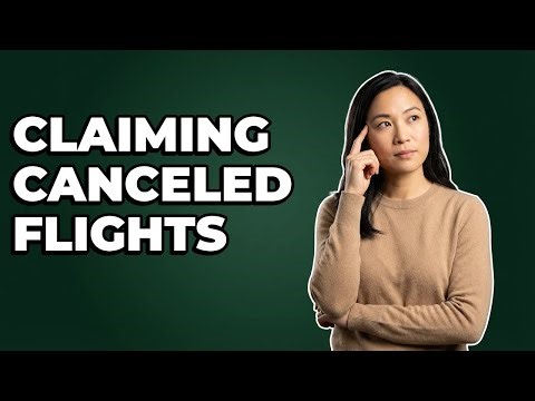 What Happens If A Flight Is Canceled By Insurance?