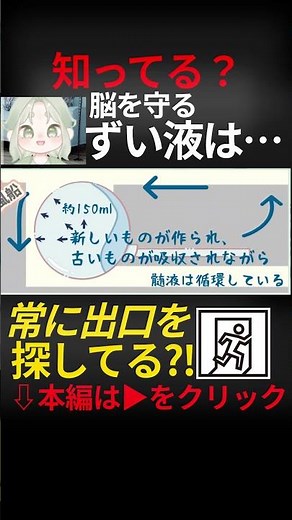 脳脊髄液減少症 STOP髄液漏れ!! VS 出口を探す髄液?!