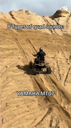 Quad Bike Sound Battle: Raptor vs Yamaha 🏁 #quadbike #atvlife #comparison
