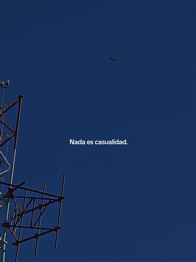 Nada es casualidad, las cosas se dan porque tienen que ser. #videos #fypage #viral #contenido #parati