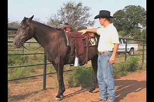 Watch Rodeo Team Roping Equipment on Amazon Live