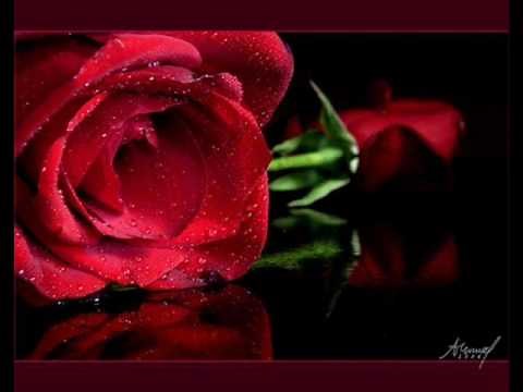 ΧΡΟΝΙΑ ΠΟΛΛΑ- ΤΡΙΑΝΤΑΦΥΛΛΟΣ