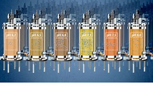 Präzisionsfermentation: Maßgeschneiderte Bioproduktion