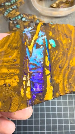 Beautiful Opalized Wood!!! #thecometopalmine