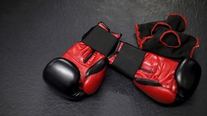 Alberta Government gives few details on review one year after fatal MMA fight