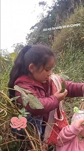 Todo natural | Robert Mark