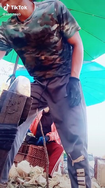 How to Open a Coconut Safely and Effectively