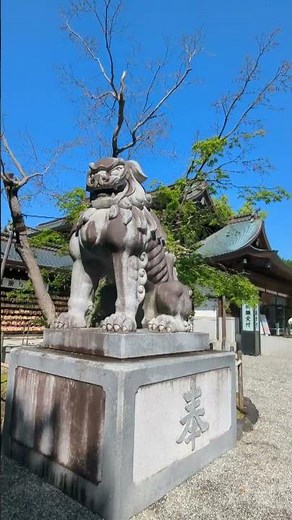 神奈川最強のパワースポット寒川神社 #神奈川スピリチュアル#寒川神社紹介#神奈川最強パワースポット