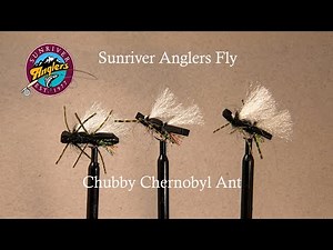 Chubby Chernobyl Ant