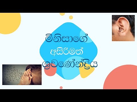 කන(ear in sinhala)