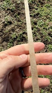 Tempering rawhide for string cutting. #leatherwork #leatherworker #leathercraft #leatherworking #leatherwokshop | Scott Gore Rawhide