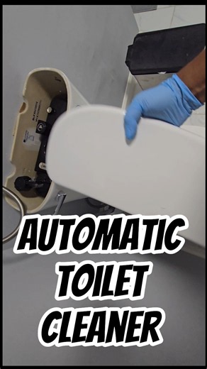 Do These Toilet Tablets Really Work?
