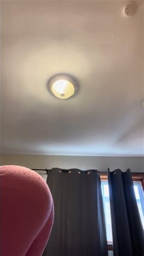 Farting on command till I get 100 subs