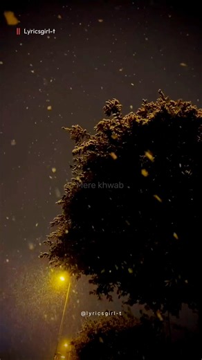 Tere Liye | Vivek Oberoi | Atif Aslam, Shreya Ghoshal | Lyricsgirl | #song #shorts #lyrics