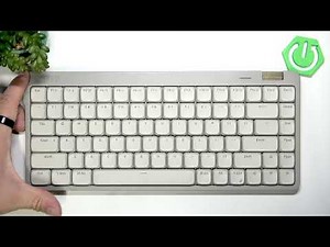 LOFREE Flow Lite – What Is the Maximum Polling Rate