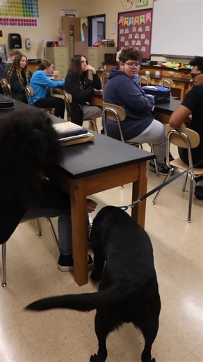 4.7K views · 91 reactions | UDA's Forensics Class had the incredible...