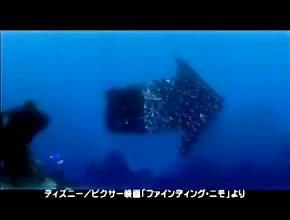 ファインディング・ニモ