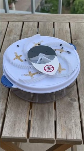 ▶️ Automatic Electric Insect Flycatcher — Best Indoor Bug Trap & Fly Catcher ( # 3137 )