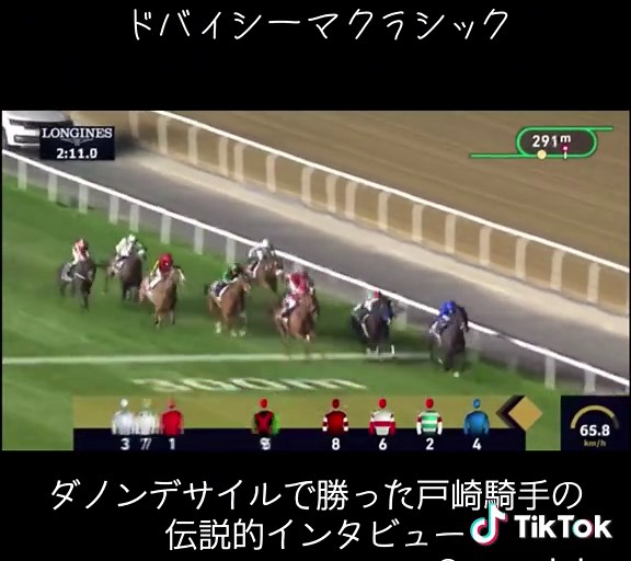 戸崎騎手の伝説的名言「ベリーベリーホース」