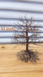 Bare Branch Wire Tree Sculpture Art - Etsy