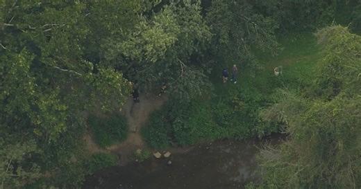 Crews investigating after dozens of dead fish found in Chester Creek due to possible spill