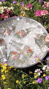 💧 Lost electrolytes? Aava restores them naturally! ✅ pH 8 alkaline hydration – no artificial treatments ✅ Calcium & Magnesium to keep you refreshed ✅ Sustainably bottled with zero water rejection 🚚 Free home delivery 50% off bulk packs! | Aava