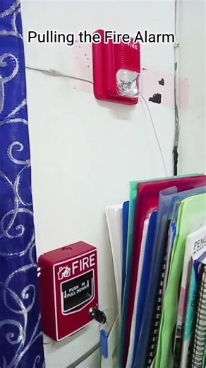 Pulling the Fire Alarm #FireAlarm#System