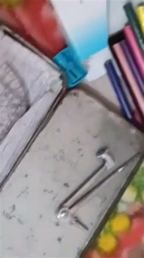 Structure of animal cell