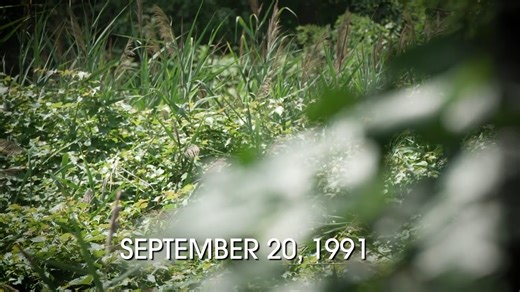 Help Find Christa Nicole — Missing 34 Years Christa was just 2 when she vanished in 1991 after her mother was murdered in Staten Island. Investigators now believe she may still be alive. Learn more about this case and how you can help: https://www.ncmec.org/blog/2024/thanksgiving-hope-can-you-help-find-christa-belusko | National Center for Missing & Exploited Children